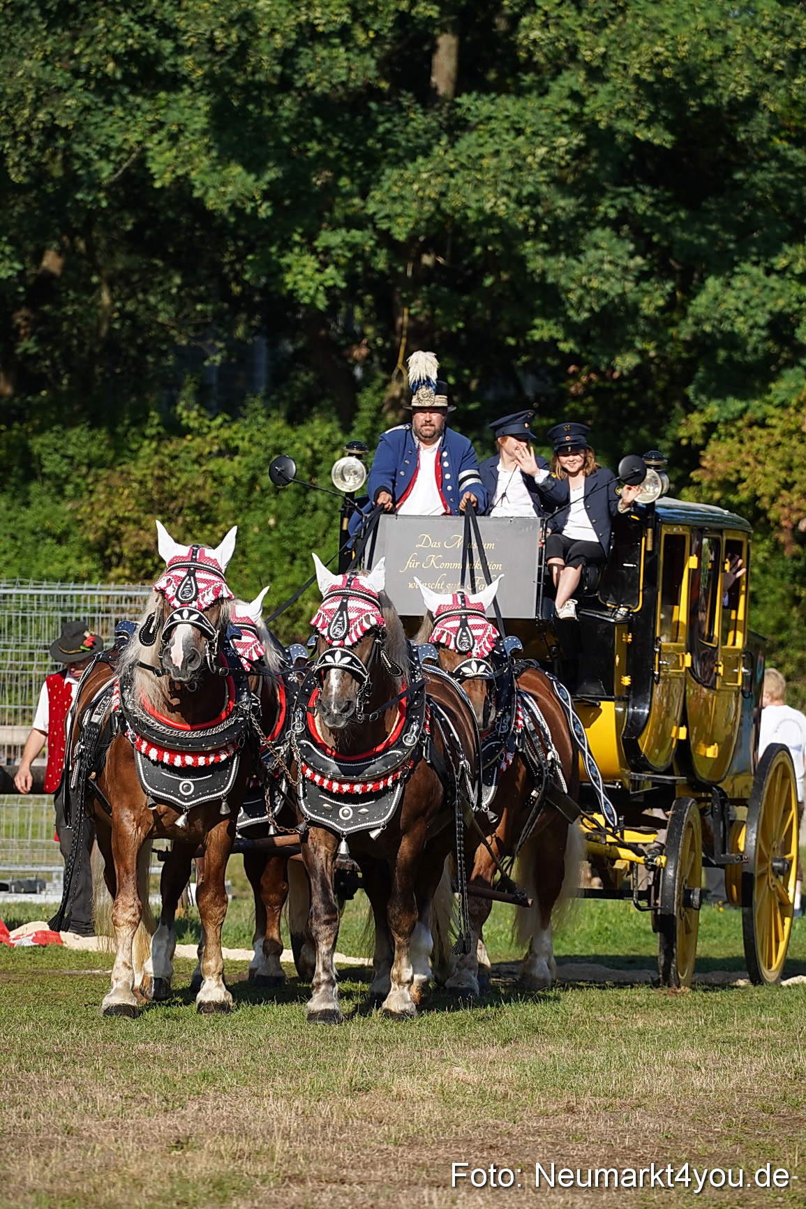 Pferde und Fohlenschau 2022 0002 